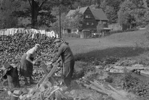 Rehefeld-Zaunhaus. Altes Paar beim Holzsägen