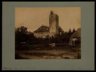 565, Unter-Riexingen. v. Leutrum'sches Schloss.