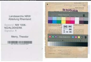 Entnazifizierung Theodor Merry , geb. 28.04.1906 (Landwirt)