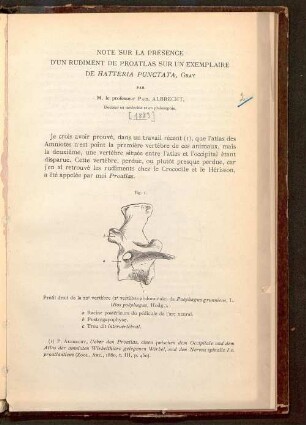 Note sur la présence d'un rudiment de proatlas sur un exemplaire de Hatteria punctata, Gray