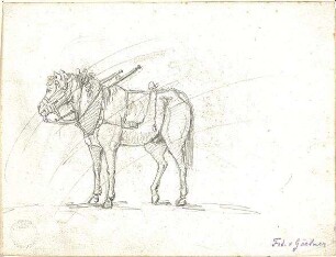 Gärtner, Friedrich von; Reisezeichnungen - Pferd (Ansicht)