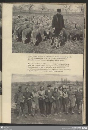 Landwirtschaftliche Produktionsgenossenschaft "1. Mai"