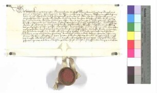 Propst Heinrich von Ellwangen verleiht dem Leonhart Rentsch eine Wiese zu Lehen.