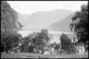 Flåm: Aurlandfjord, Aurlandfjord von oben, Vordergrund Bäume von Flåm aus