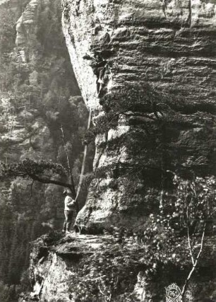 Böhmische Schweiz, Prebischtorgebiet. Großer Huschenwächter (Velký tetřev). Seilschaft Ehrhardt Renger am Überhang des Alten Weges (VIIa)
