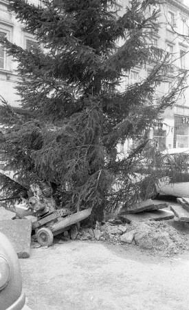 Nach-Weihnachtsstimmung.