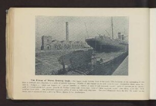 The Prince of Wales Graving Dock. - ...
