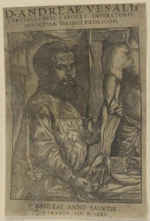 Bildnis des Andreas Vesalius