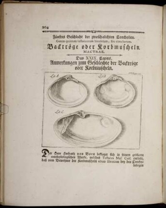 Fünftes Geschlecht der zwoschalichten Conchylien. Backtröge oder Korbmuscheln.