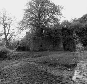 Ruine Rodenstein; Fränkisch-Crumbach, Rodenstein