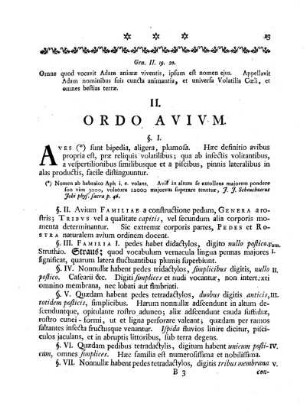 II. Ordo Avium