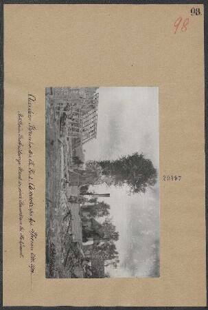 Péronne Okt. 1914: Artilleriebeobachtungsstand in einer Baumkrone bei Herbécourt
