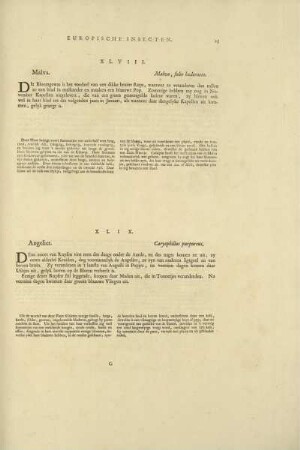 XLVIII. Malva. - Malva, folio haederaceo