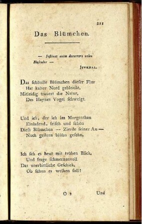 Das Blümchen. - Die Schöpfung.