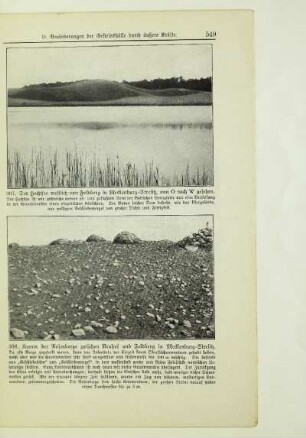Kamm der Rosenberge zwischen Neuhof und Feldberg in Mecklenburg-Strelitz