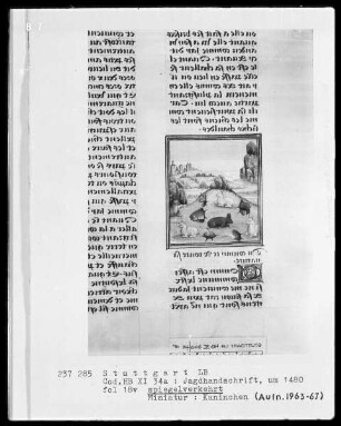 Gaston Phoebus und Kaiser Friedrich II. — ---, Folio 3recto-97verso---, Folio ---Kaninchen, Folio 18verso