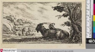 [Zwei Böcke mit Landschaft]