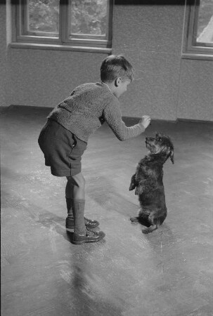 Tiere. Kleiner Junge, einen Dackel dressierend