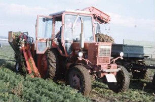 Wurzelgemüse-Erntemaschine EM 11