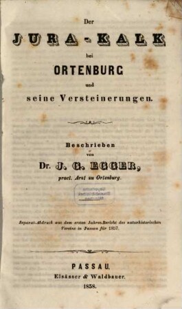 Der Jura-Kalk bei Ortenburg und seine Versteinerungen