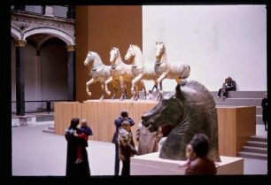 Pferde v. San Marco 12.4.82.