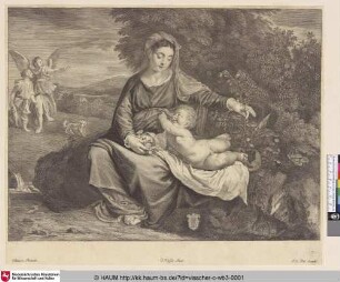 [Maria mit der Blume; Virgin and child]