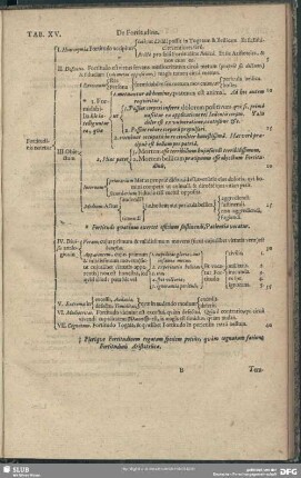Tab. XV. De Fortitudine