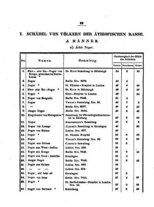 Schädel von Völkern der Äthiopischen Rasse