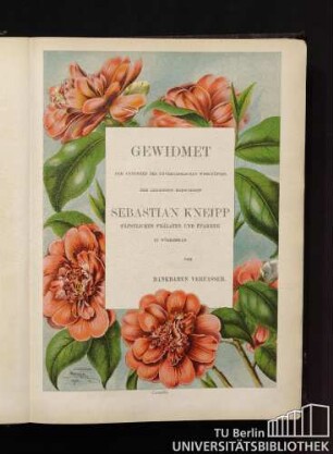Gewidmet dem Andenken des unvergesslichen Wohltäters der leidenden Menschheit Sebastian Kneipp päpstlichen Prälaten und Pfarrer in Wörishofen vom dankbaren Verfasser.