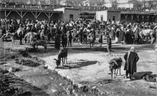Viehmarkt in Damaskus (HAPAG-Mittelmeerfahrt der Oceana Leonhardt 1929)
