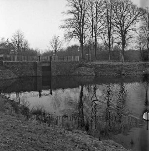 Mühlenteich: hinten links Mühlenwehr der Glinder Au: hinten rechts Baumreihe an Kupfermühlenweg: vorn rechts Schwan