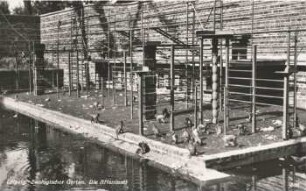 Leipzig: Zoologischer Garten ; die Affeninsel