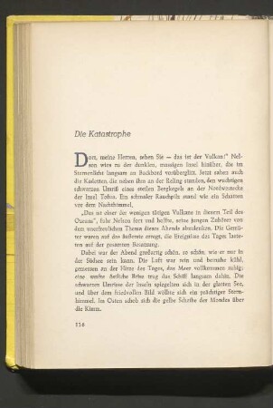 Die Katastrophe