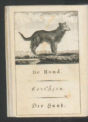 Tafel: De Hond. Le Chien. Der Hund.