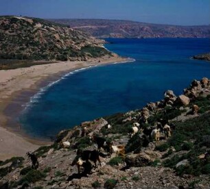 Ziegen, Bucht von Vai : Vai auf Kreta. Der Ziegenfelsen über der Bucht von Vai, Aufnahme 1974