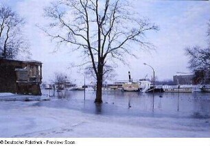 Elbehochwasser. Blick von Hasenberg über überschwemmtes Terrassenufer und Dampferanlegestellen gegen Neustädter Seite