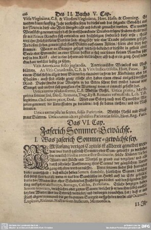 Das VI. Cap. Zaserich Sommer-Gewächse.