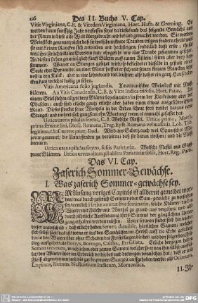 Das VI. Cap. Zaserich Sommer-Gewächse.