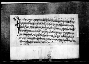 Hans von Sachsenheim, Burkhards sel. Sohn, verkauft dem Stift Sindelfingen 6 lb. h. Gült zu Cannstatt um 120 lb. h.