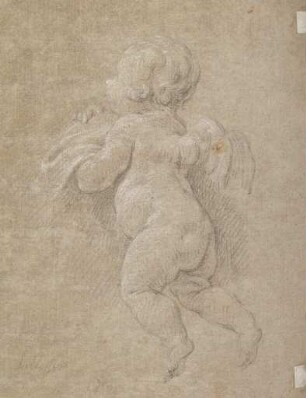 Putto
