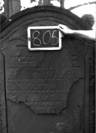 Grabstein 805 (Index: 100105070) Material: Sandstein Zustand: stark verwittert mit Textverlust Maße HxBxT: 178x88x17 cm Beschreibung: Stele, Konvexbogenabschluss mit Verdachung, auf den Einzügen Kugelaufsätze, darunter seitliche Einzüge, Schriftfeld seitlich durch Rahmen mit Blütenfries begrenzt, im Bogenfeld gekreuzte Akanthus(?)blätter Symbolik: Akanthusblätter, Blütenfries: Grabstein 805 (Detailaufnahme)