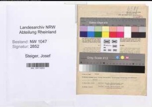 Entnazifizierung Josef Steiger , geb. 17.08.1906 (Polizeibeamter)