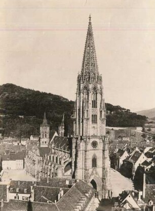 Münster : Freiburg im Breisgau. Münster von Westen