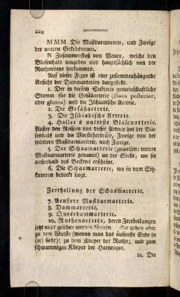 228-239, Zertheilung der Schaamarterie; ...