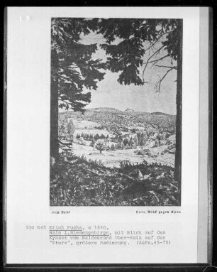 Hain im Riesengebirge (mit Blick auf den Kynast vom Waldesrand Ober-Hain auf den "Sturz")