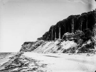 Ufer : Westliche Landspitze der Kieler Förde