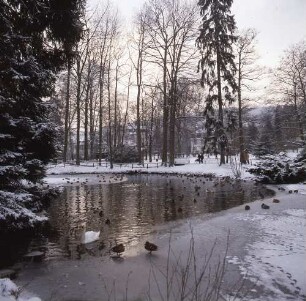 Bad Orb. Kurpark (1900). Blick auf den Teich