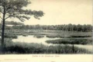 In der Lüneburger Heide