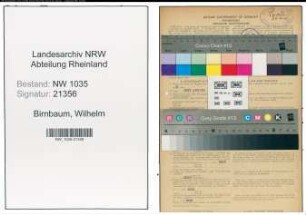 Entnazifizierung Wilhelm Birnbaum , geb. 11.07.1895 (Revisor)