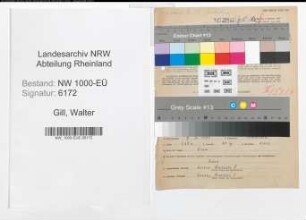 Entnazifizierung Walter Gill, geb. 09.11.1898 (Kaufm.Angest.)